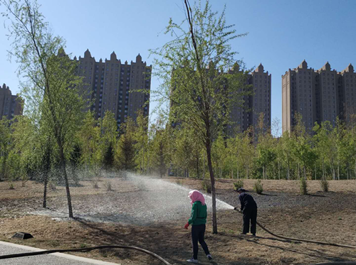 新宝GG—创立事业平台