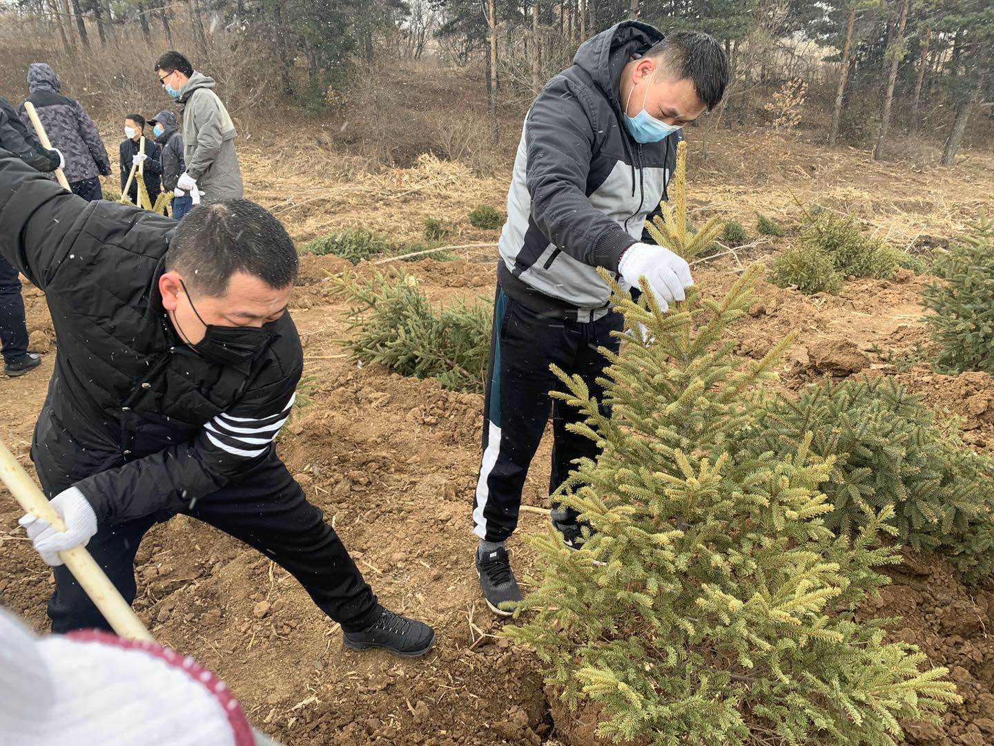 新宝GG—创立事业平台