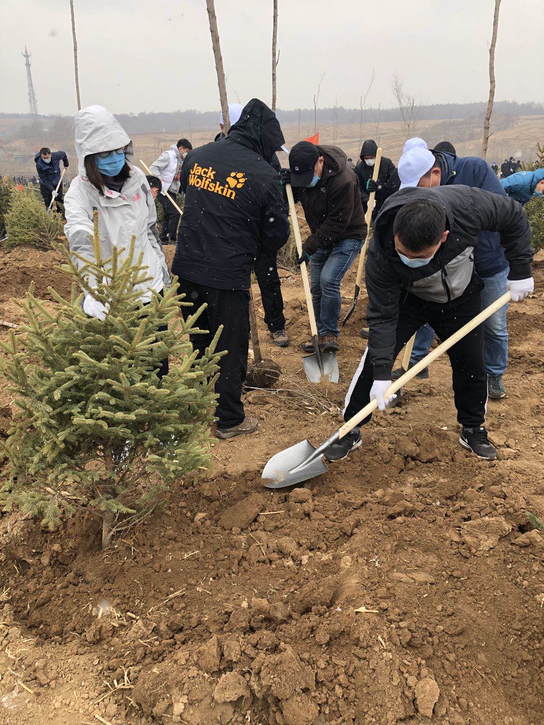 新宝GG—创立事业平台